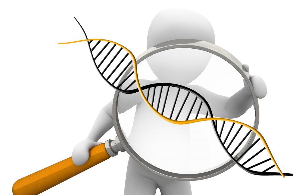 deoxyribonucleic-acid-1500068_1280
