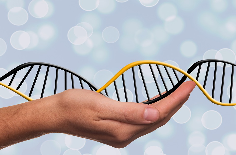 deoxyribonucleic-acid-1500076_960_720